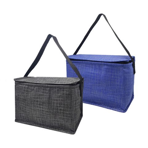 צידנית 6ליטר  דגם Non-Woven Cooler-Bag